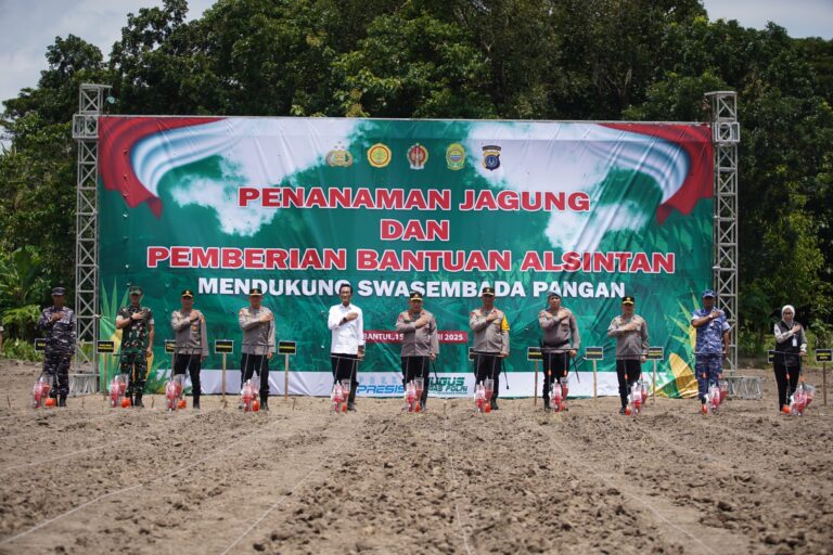 IMG-20250216-WA0003