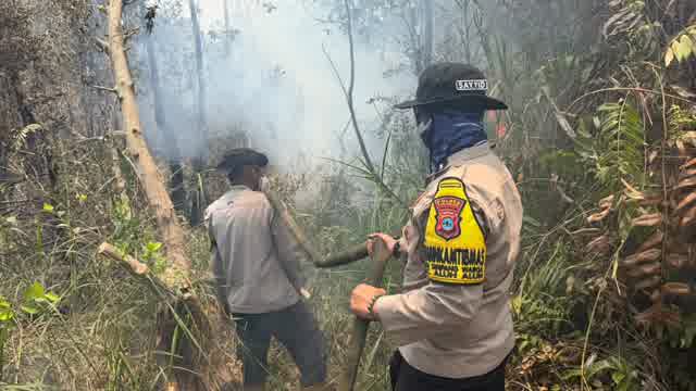 IMG-20261013-WA0030